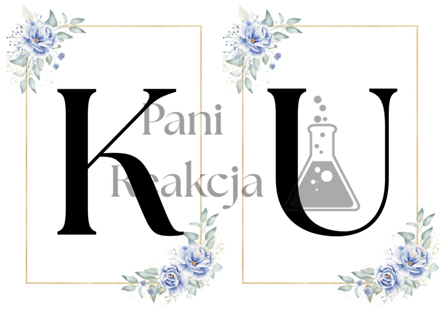 Girlanda Dzień Edukacji Narodowej