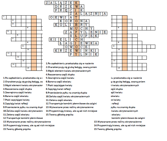 Logogryf na podsumowanie lekcji biologii o okrytonasiennych