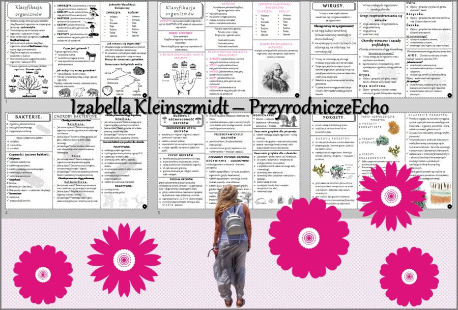 Zestaw sketchnotek/książeczek/notatek/wklejek/ściąg dla ucznia i przypomnień dla nauczyciela/edukacja domowa w pdf do całego działu. Biologia 5, dział „Wirusy, bakterie, protisty i grzyby”. Nowość 2024/2025.