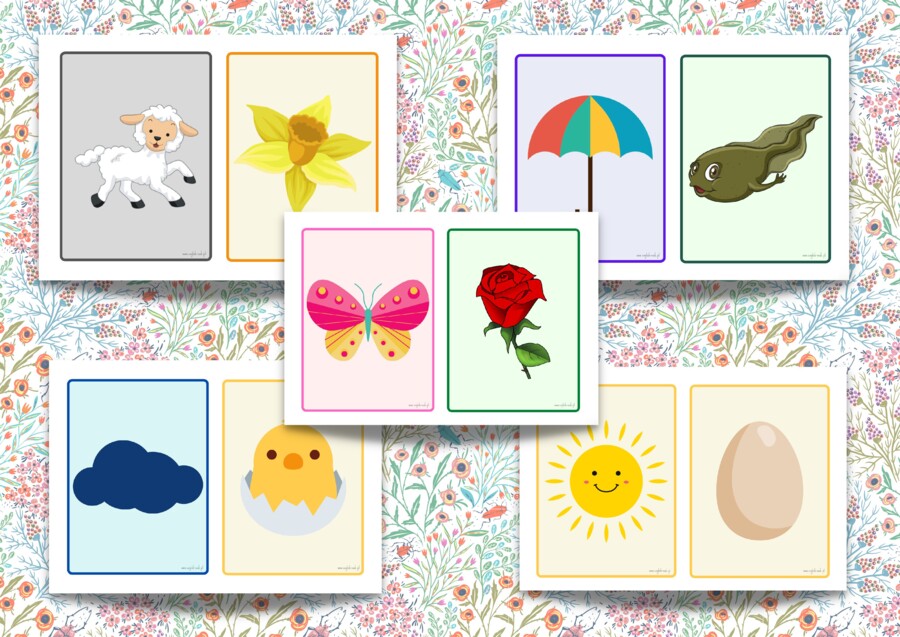 Spring flashcards
