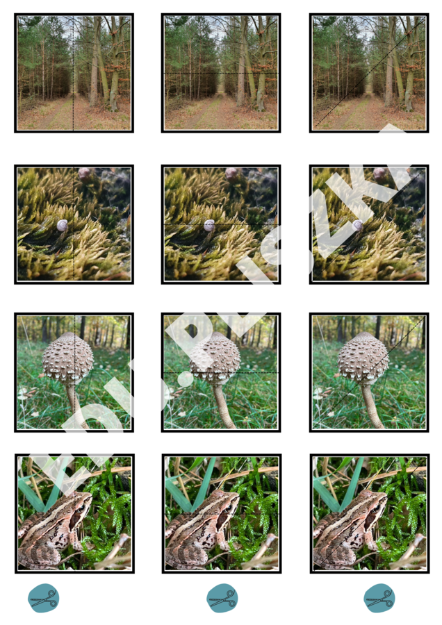 Pionowo, poziomo, na skos: pory roku