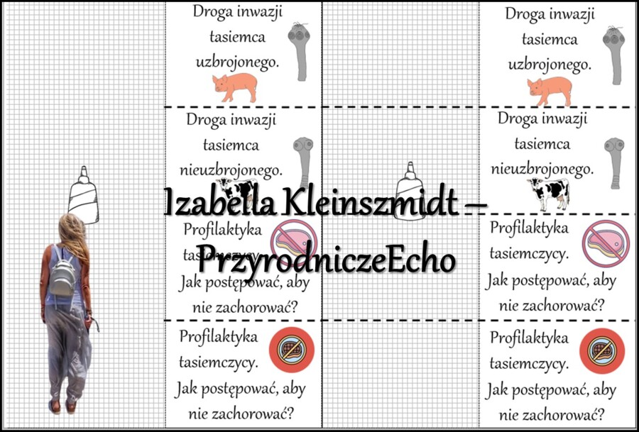 Notatka okienkowa/stacja zadaniowe/notatka interaktywna/notatka graficzna/karta pracy/sketchnotka „Płazińce”, „Płazińce - zwierzęta, które mają płaskie ciała” w pdf. Biologia 6 , dział „Od parzydełkowców do pierścienic”. Materiał wykonany na podstawie po