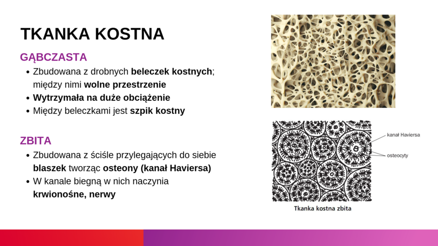 KLASA 3 rozszerzenie - PAKIET NA CAŁY ROK