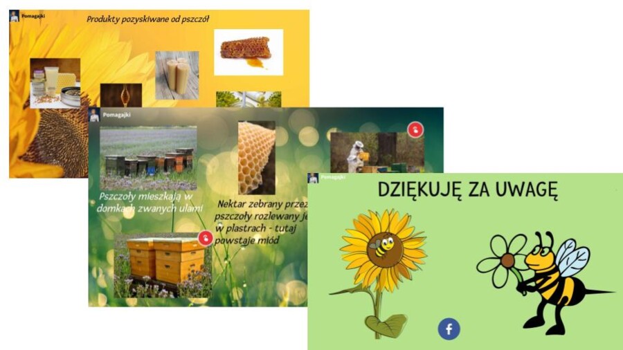 Dzień Pszczoły - interaktywna prezentacja