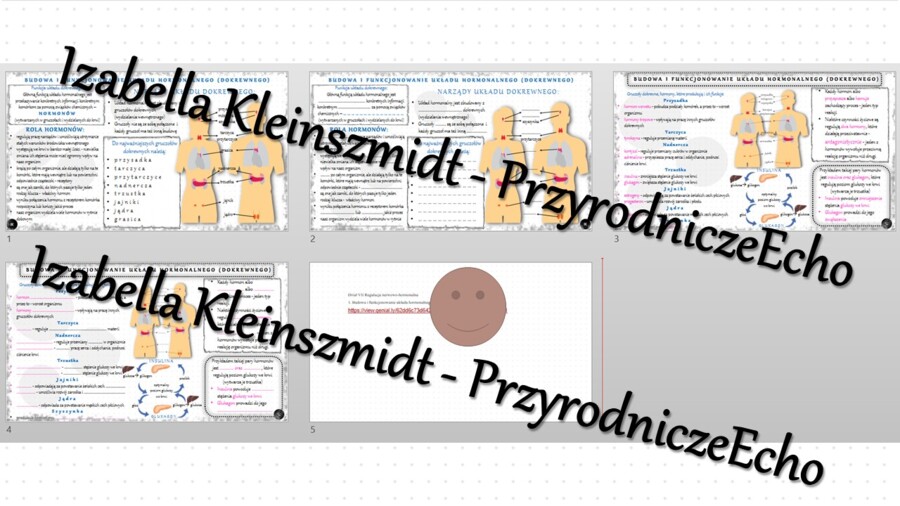 Minizestaw na temat „Budowa i funkcjonowanie układu hormonalnego” – sketchnotka + karta pracy w power point + gratisowy link do prezentacji multimedialnej niekomercyjnej wykonanej w genial.ly do indywidualnego pobrania i użycia do celów niekomercyjnych. 