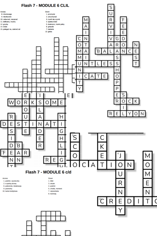 Flash 7 – Module 6 – krzyżówki