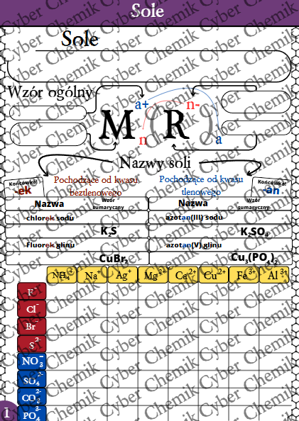 Karty pracy - Klasa 8. Chemia – Zestaw 6 kart pracy do działu 9 "Sole"
