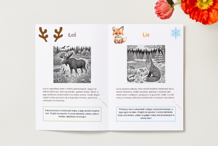 Kolorowanki. Zwierzęta