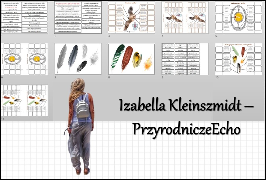 Materiał do zalaminowania/praca w grupach/stacje zadaniowe/układanka/puzzle + notatki okienkowe. „Ptaki-kręgowce zdolne do lotu”, Biologia 6 dział „Kręgowce stałocieplne”.