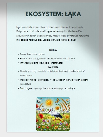 Porównanie różnych ekosystemów (las, łąka, staw)