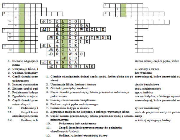 Łodyga - logogryf dla klasy 5