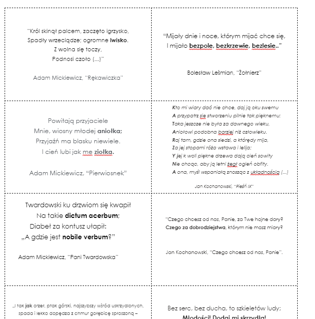 Środki stylistyczne (nazwa + przykład) karty dwustronne