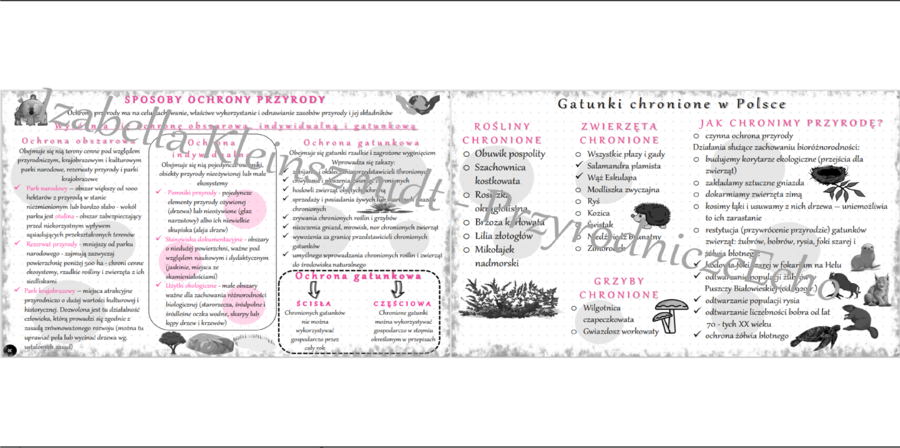 Sketchnotki „ Sposoby ochrony przyrody". Biologia klasa 8, dział IV „Człowiek i środowisko”