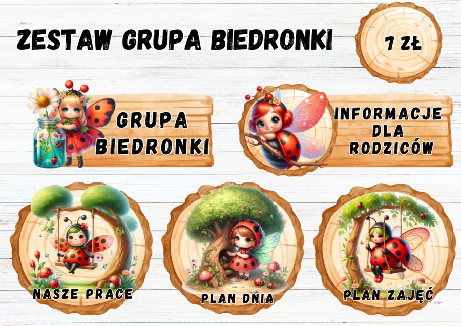 ZESTAW GRUPOWY GRUPA "BIEDRONKI" 2