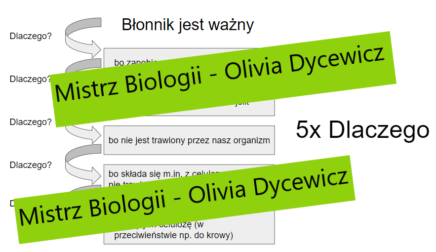 5x dlaczego - myślenie krytyczne - Błonnik