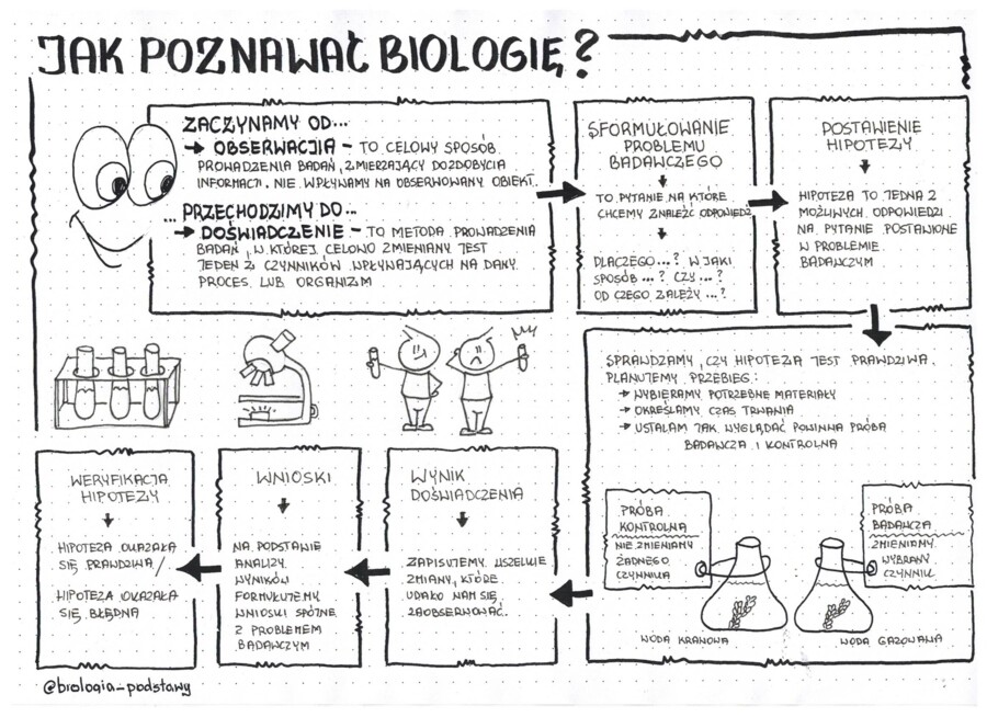 Jak poznawać biologię - klasa 5 sketchnotka