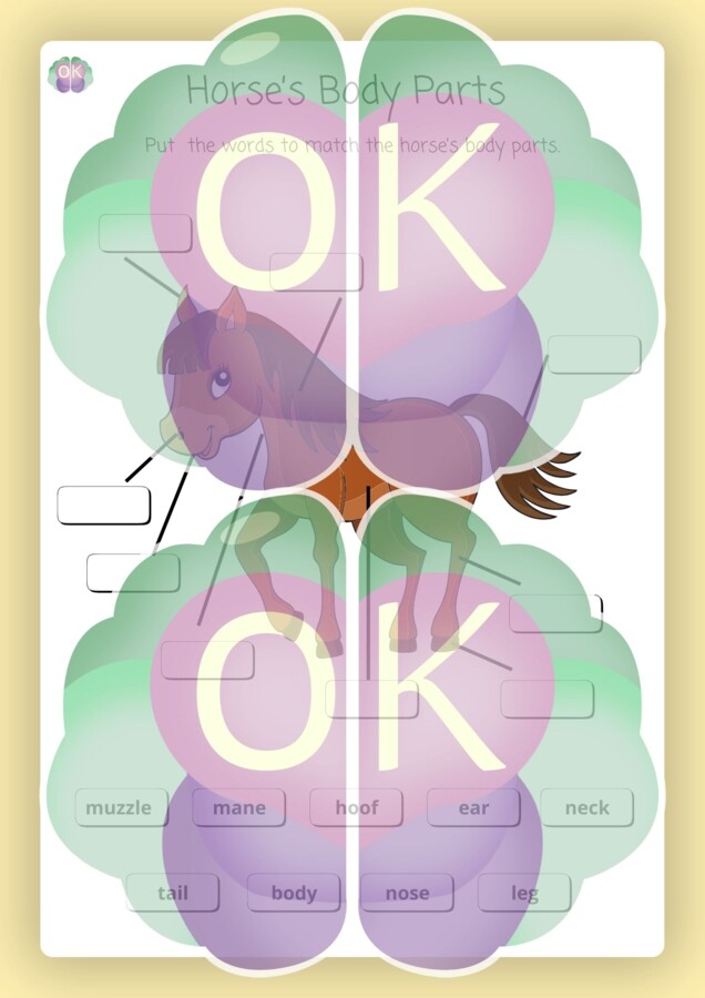 🦁 Animal Body Parts – Materiał dla dzieci (11 zwierząt) 🐢 Poznaj i podpisz części ciała zwierząt! – 12 stron pełnych nauki i zabawy, zwierzęta, części ciała, wycinanki, praca plastyczna, karty pracy, dzieci, angielski dla najmłodszych, opis zwierząt, A1.