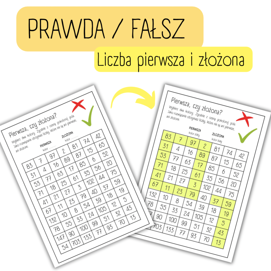 LICZBA PIERWSZA I ZŁOŻONA - prawda/fałsz - kolorowanka
