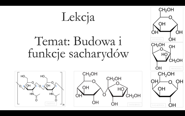 Liceum (zakres rozszerzony) - Budowa i funkcje sacharydów - prezentacja