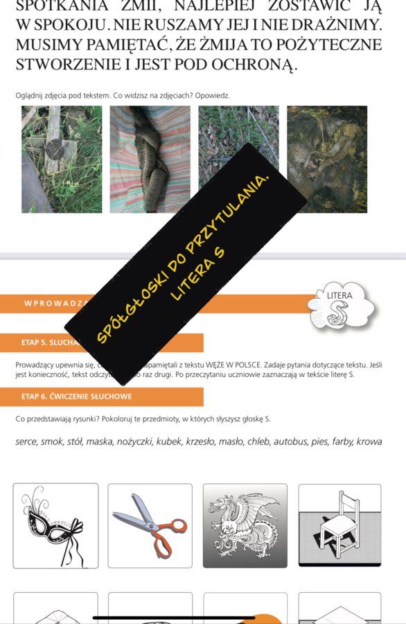 Spółgłoski do przytulania. Monografia litery S