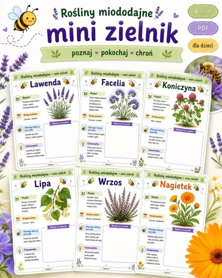 Rośliny miododajne - mini zielnik