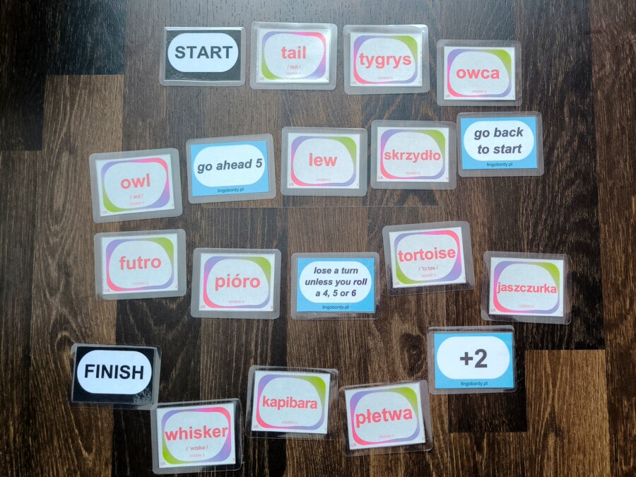 Together 5: Unit 5 – Kompletny Zestaw Kart Memory (98 kart!)