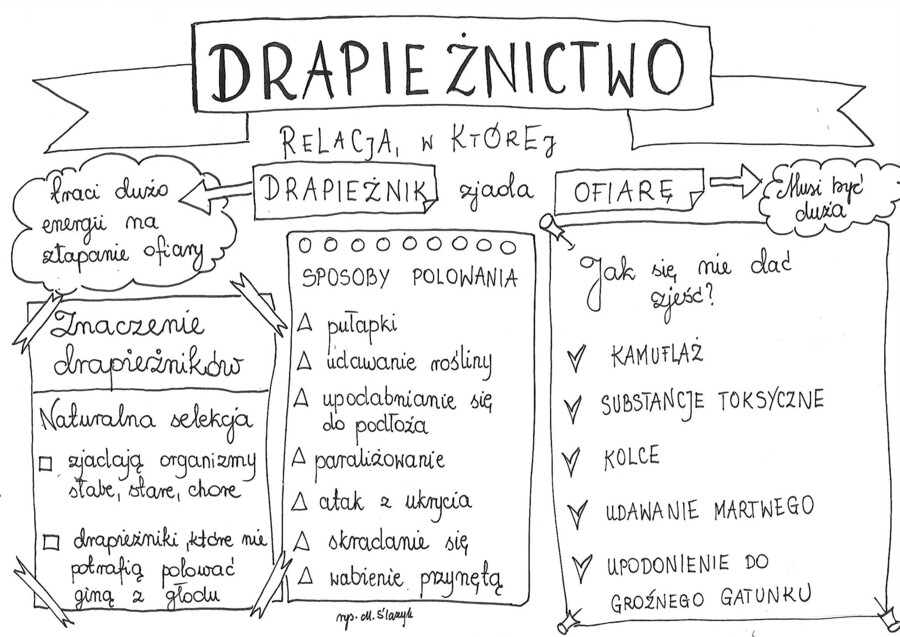 Klasa 8. Biologia. Drapieżnictwo.