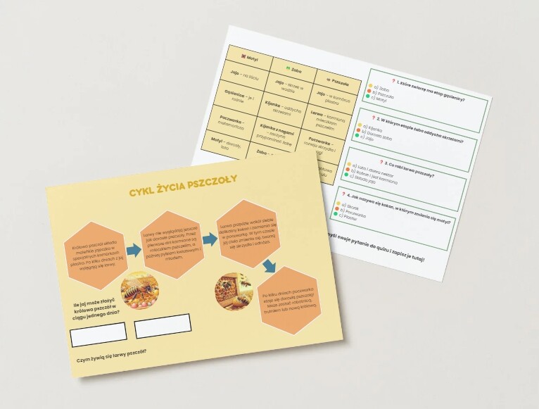 Cykl życia wybranych zwierząt (motyla, żaby, pszczoły)