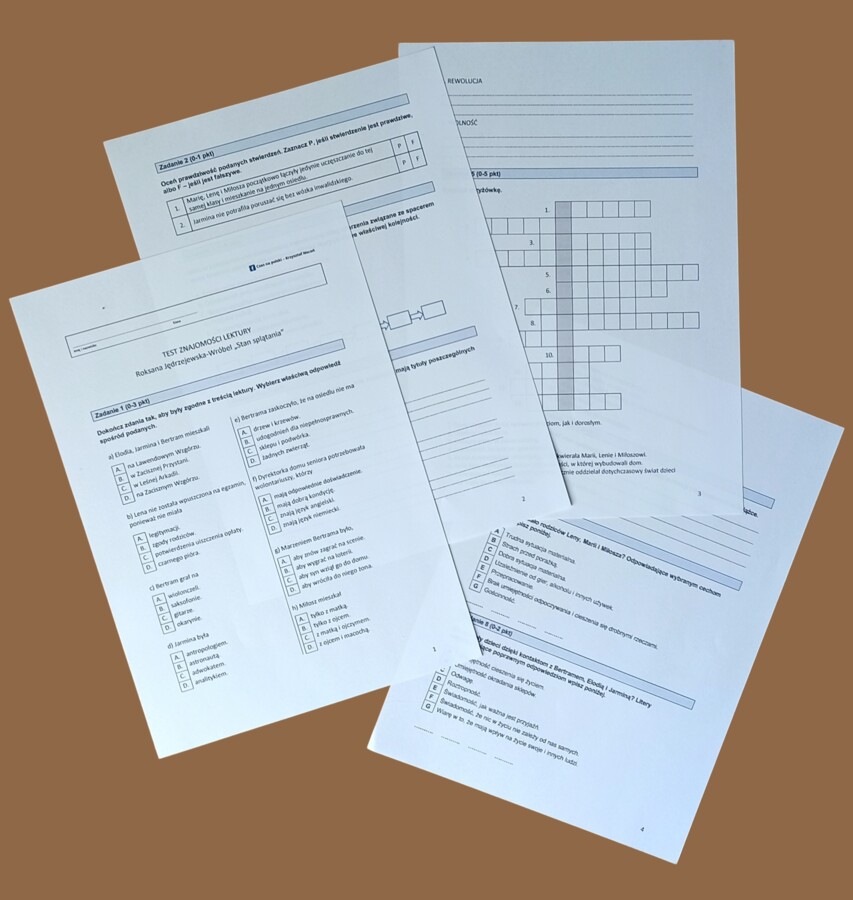 "Stan splątania" – streszczenie szczegółowe + test znajomości lektury