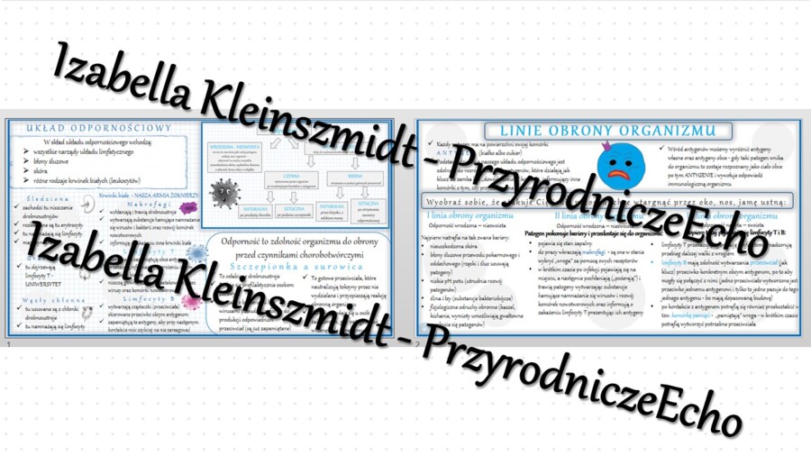 Sketchnotka - notatka „Budowa i funkcjonowanie układu odpornościowego” wykonana w power point do edycji. Biologia 7; „Układ krążenia”