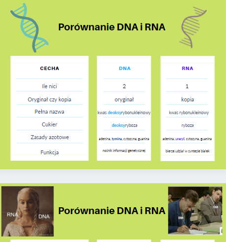 Porównanie DNA i RNA