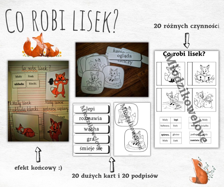 Co robi lisek? Wprowadzamy czasowniki