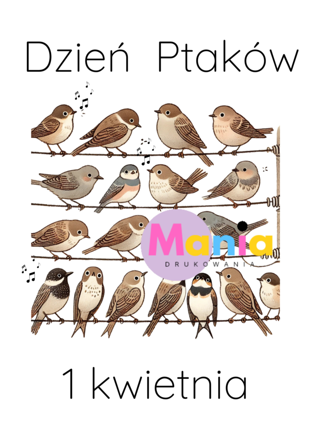 Dzień Ptaków