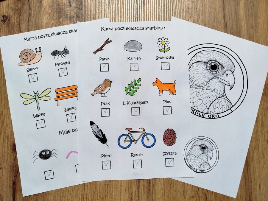 Karta poszukiwacza medal/odznaka. Dzień bez telefonu