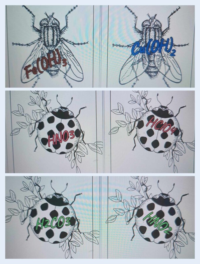 WODOROTLENKI I KWASY - gra dydaktyczna