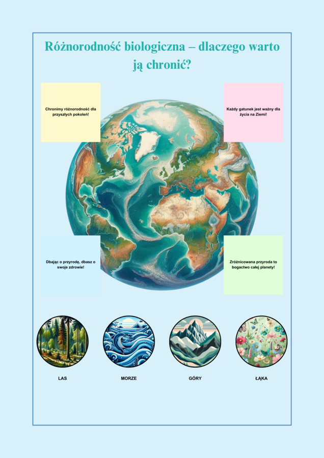 Plansze edukacyjne. Gatunki zwierząt i roślin. Warstwy lasu. Bioróżnorodność.
