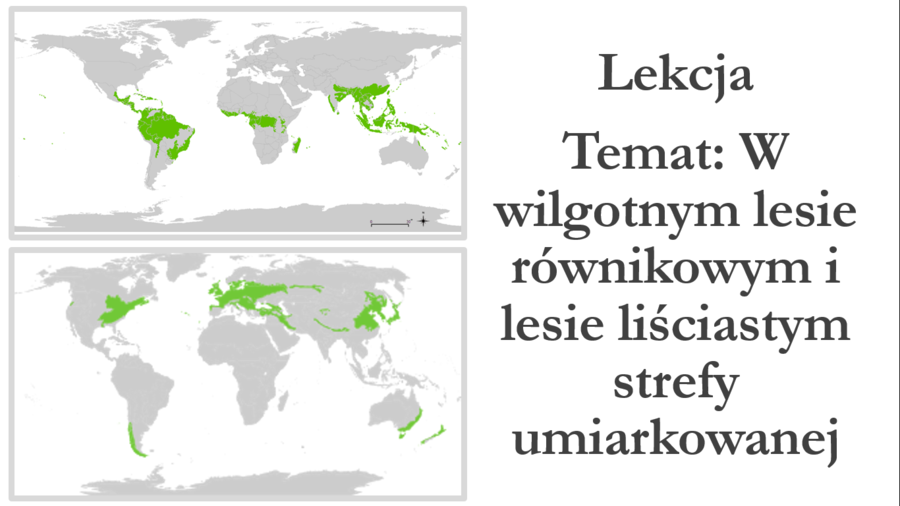 Klasa 5 - W wilgotnym lesie równikowym i lesie liściastym strefy umiarkowanej - prezentacja