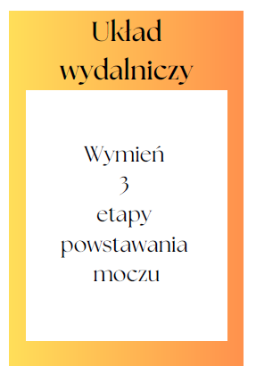 Gra "Układ wydalniczy" - powtórzenie wiadomości biologia klasa 7