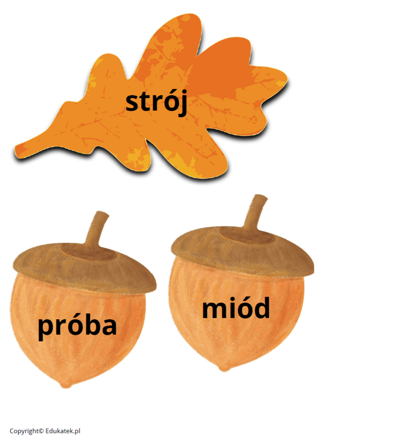 Ortografia z wiewiórką – dekoracja i utrwalenie