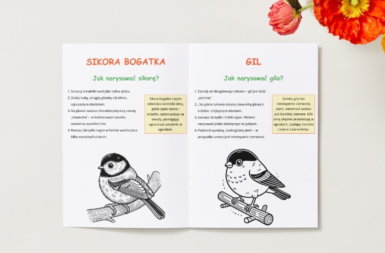 Kolorowanki z roślinami i zwierzętami. Gatunki ptaków, ssaków i drzew