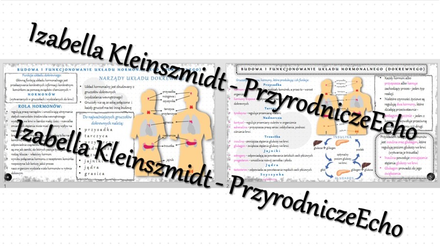 Sketchnotka - notatka „Budowa i funkcjonowanie układu dokrewnego” wykonana w power point do edycji. Biologia 7; „Regulacja nerwowo-hormonalna”