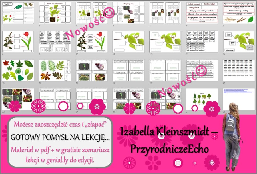 Pomysł na lekcję/karta pracy/stacje zadaniowe/materiał do lekcji do tematu „Liść – wytwórnia pokarmu” w pdf. W gratisie niekomercyjny scenariusz lekcji/pomysł na lekcję w programie genial.ly do edycji. Biologia 5. Dział „Tkanki i organy roślinne”.