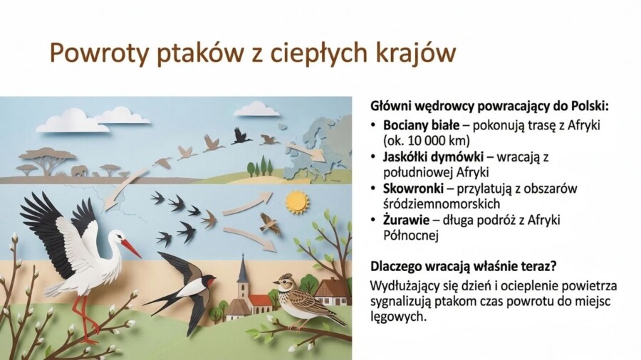 Wiosna - prezentacja, gazetka szkolna, materiały