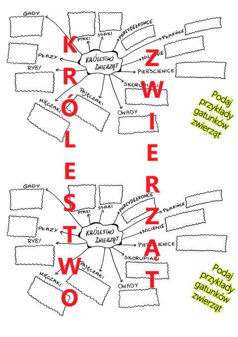 KRÓLESTWO ZWIERZĄT - wklejka, sketchnotka