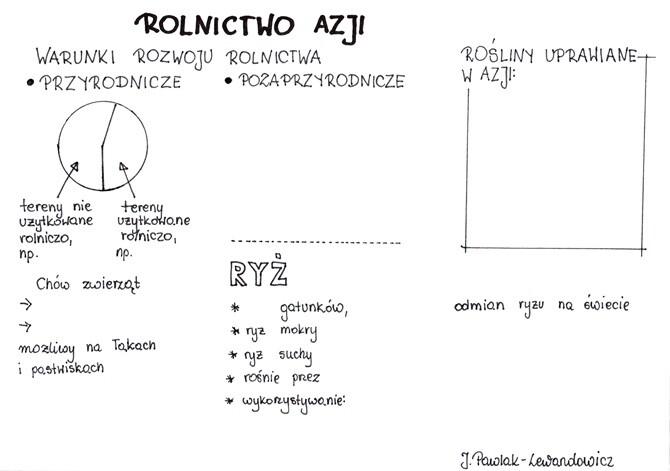 Rolnictwo w Azji - KP