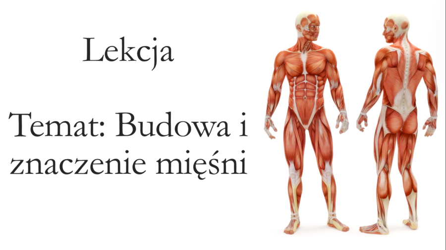 Klasa 7 - Budowa i rola mięśni - prezentacja