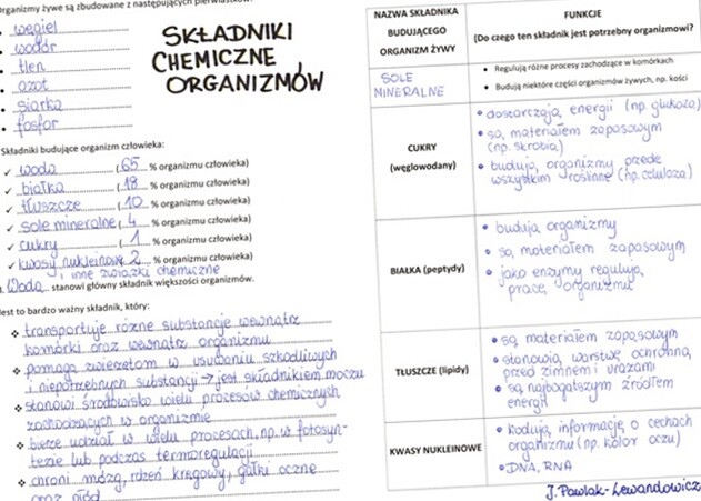 Składniki chemiczne organizmów - sketchnotka
