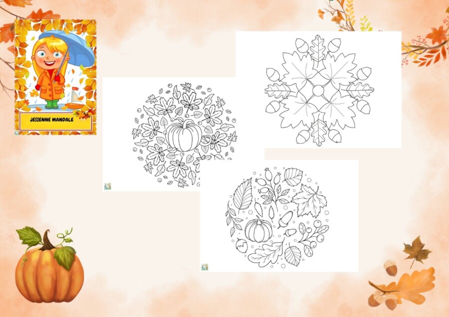 JESIENNA KSIĄŻECZKA AKTYWIZUJĄCA DLA PRZEDSZKOLAKÓW.