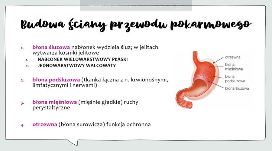 KLASA 3 rozszerzenie - PAKIET NA CAŁY ROK