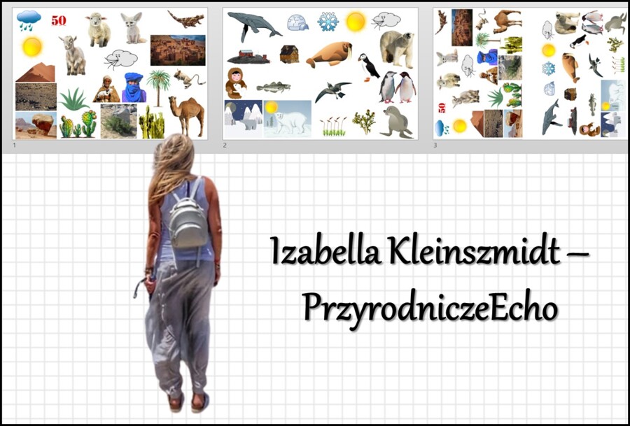 Materiał do wycięcia/wycinanka do notatki „Krajobrazy pustyń gorących i lodowych” w pdf. Geografia 5, dział „Krajobrazy świata”.